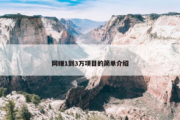 网赚1到3万项目的简单介绍