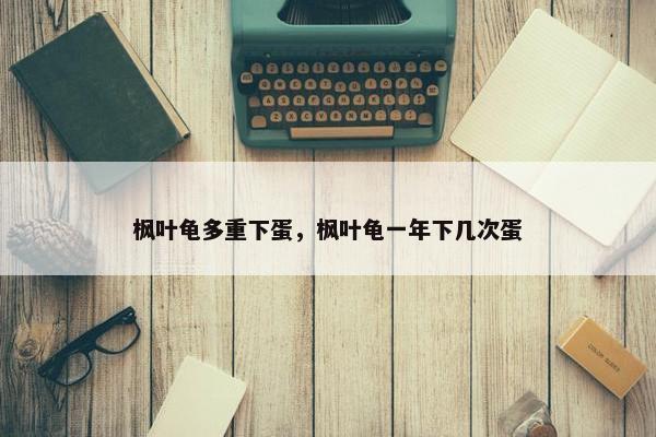 枫叶龟多重下蛋，枫叶龟一年下几次蛋
