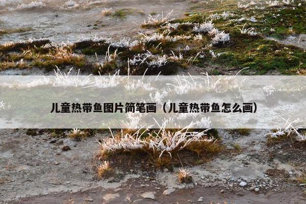 儿童热带鱼图片简笔画（儿童热带鱼怎么画）