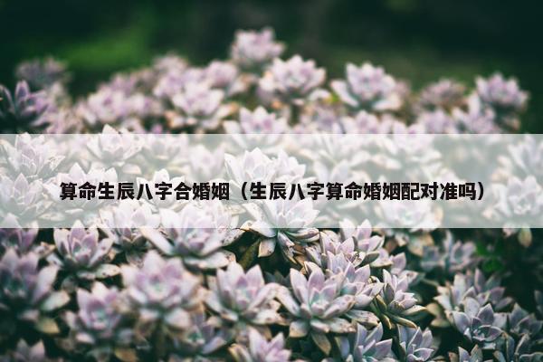 算命生辰八字合婚姻（生辰八字算命婚姻配对准吗）