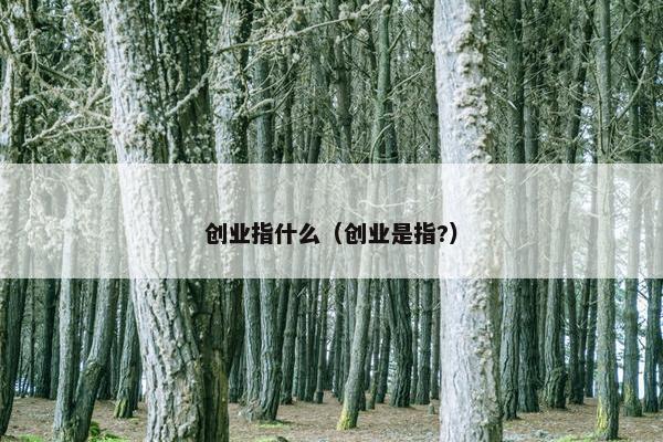 创业指什么（创业是指?）