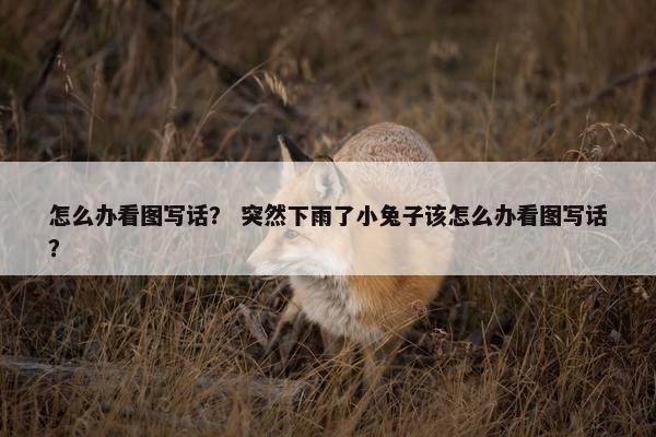 怎么办看图写话？ 突然下雨了小兔子该怎么办看图写话？