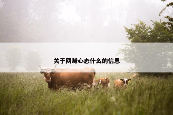 关于网赚心态什么的信息