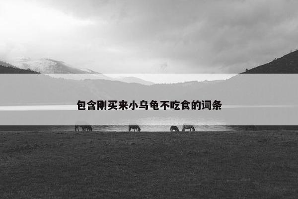 包含刚买来小乌龟不吃食的词条