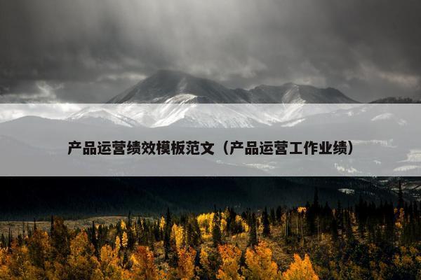产品运营绩效模板范文（产品运营工作业绩）