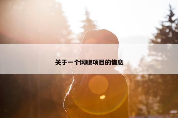 关于一个网赚项目的信息