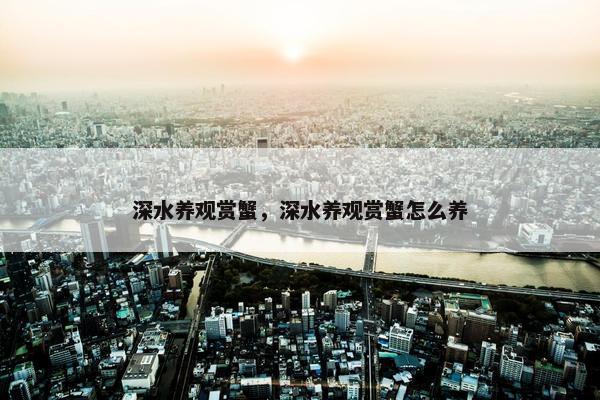 深水养观赏蟹，深水养观赏蟹怎么养