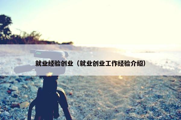 就业经验创业（就业创业工作经验介绍）