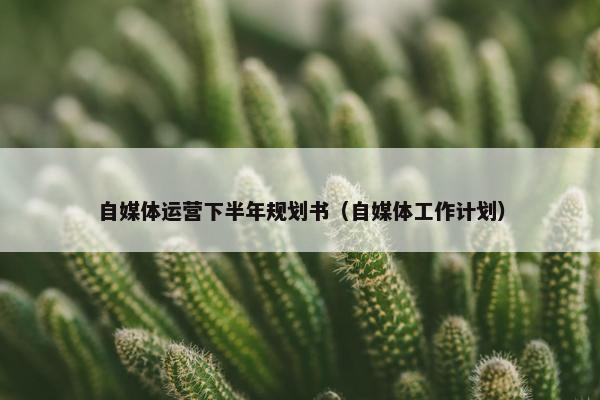 自媒体运营下半年规划书（自媒体工作计划）