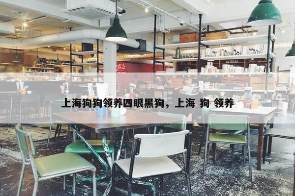 上海狗狗领养四眼黑狗，上海 狗 领养