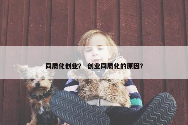 同质化创业？ 创业同质化的原因？