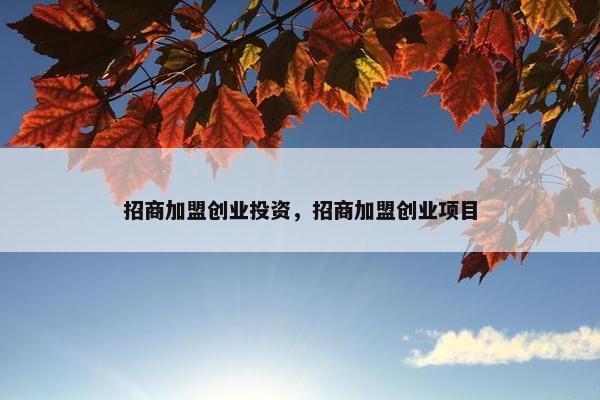 招商加盟创业投资，招商加盟创业项目