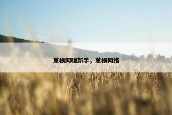 草根网赚新手，草根网络