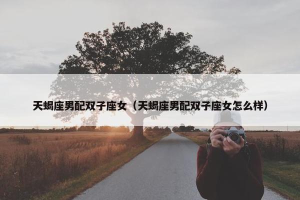 天蝎座男配双子座女（天蝎座男配双子座女怎么样）