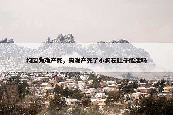 狗因为难产死，狗难产死了小狗在肚子能活吗