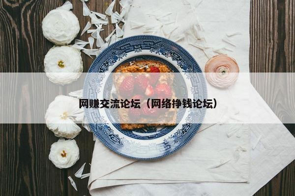 网赚交流论坛（网络挣钱论坛）