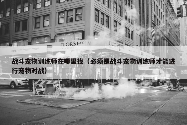 战斗宠物训练师在哪里找（必须是战斗宠物训练师才能进行宠物对战）