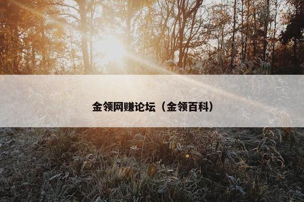 金领网赚论坛（金领百科）