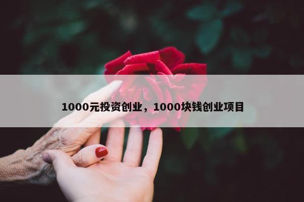 1000元投资创业，1000块钱创业项目