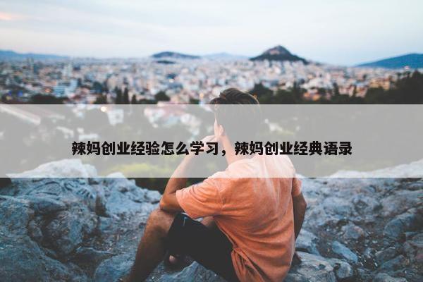 辣妈创业经验怎么学习，辣妈创业经典语录