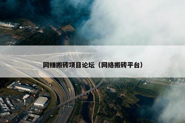 网赚搬砖项目论坛（网络搬砖平台）