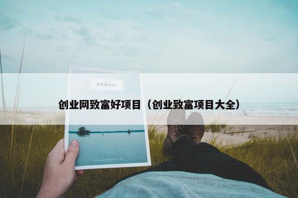 创业网致富好项目（创业致富项目大全）