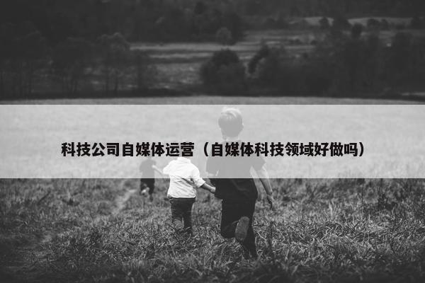 科技公司自媒体运营（自媒体科技领域好做吗）