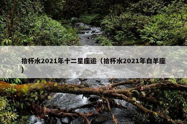 拾杯水2021年十二星座运（拾杯水2021年白羊座）