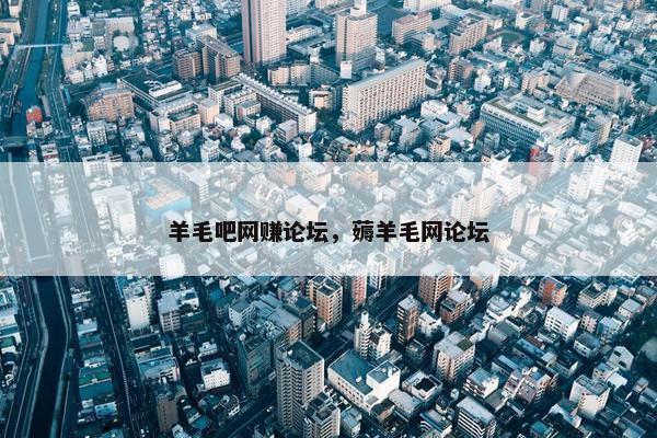 羊毛吧网赚论坛，薅羊毛网论坛