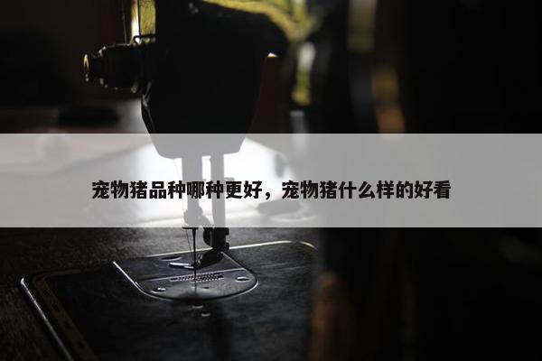 宠物猪品种哪种更好，宠物猪什么样的好看