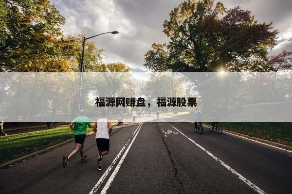 福源网赚盘，福源股票