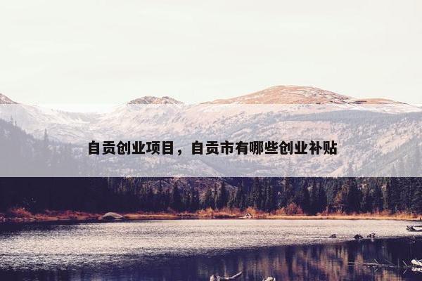 自贡创业项目，自贡市有哪些创业补贴