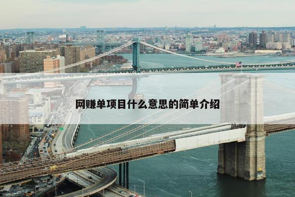 网赚单项目什么意思的简单介绍