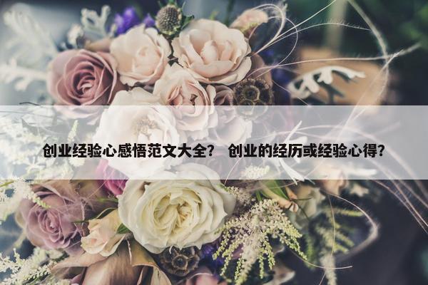 创业经验心感悟范文大全？ 创业的经历或经验心得？
