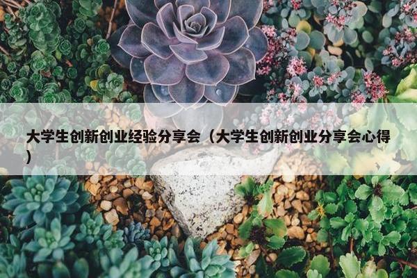 大学生创新创业经验分享会（大学生创新创业分享会心得）