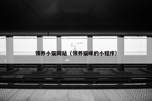 领养小猫网站（领养猫咪的小程序）
