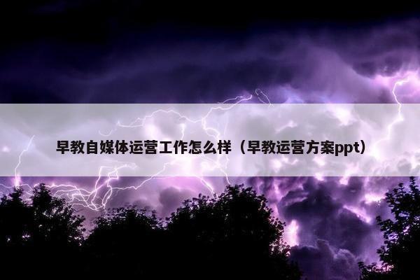 早教自媒体运营工作怎么样（早教运营方案ppt）