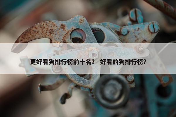 更好看狗排行榜前十名？ 好看的狗排行榜？