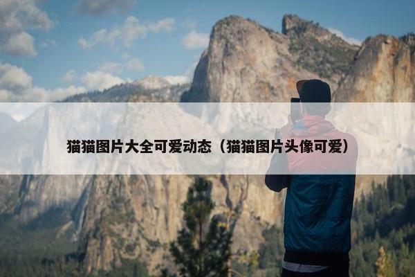 猫猫图片大全可爱动态（猫猫图片头像可爱）