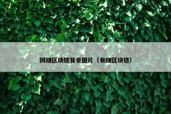 网赚区块链背景图片（有赚区块链）