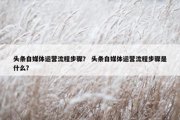 头条自媒体运营流程步骤？ 头条自媒体运营流程步骤是什么？
