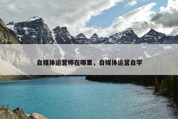 自媒体运营师在哪里，自媒体运营自学