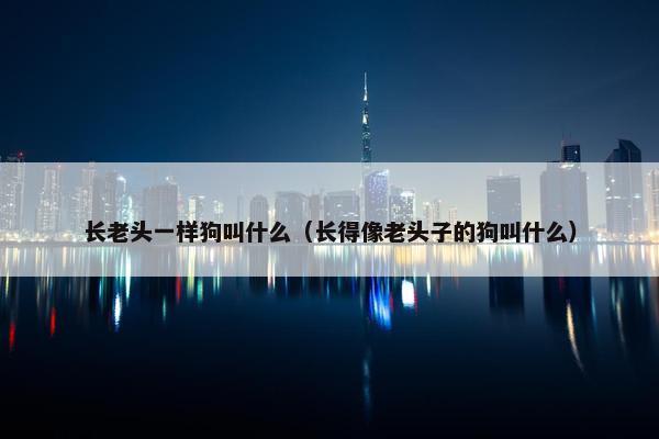 长老头一样狗叫什么（长得像老头子的狗叫什么）