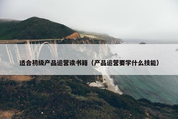 适合初级产品运营读书籍（产品运营要学什么技能）