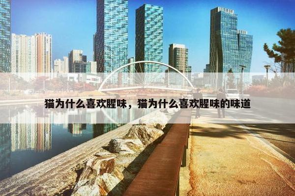 猫为什么喜欢腥味，猫为什么喜欢腥味的味道
