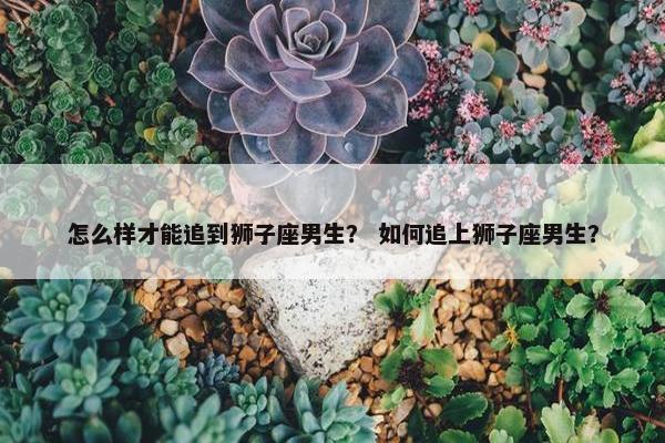 怎么样才能追到狮子座男生？ 如何追上狮子座男生？