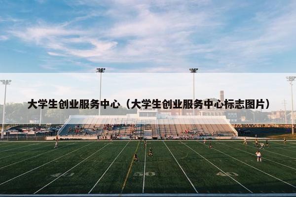 大学生创业服务中心（大学生创业服务中心标志图片）