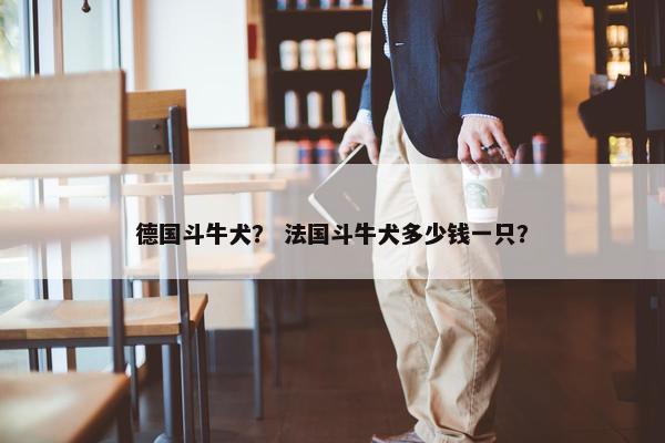 德国斗牛犬？ 法国斗牛犬多少钱一只？