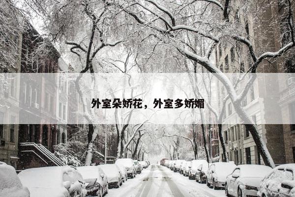 外室朵娇花，外室多娇媚