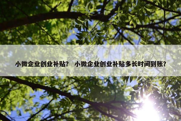 小微企业创业补贴？ 小微企业创业补贴多长时间到账？